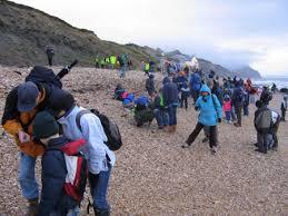 Lyme Regis Fossil Beach